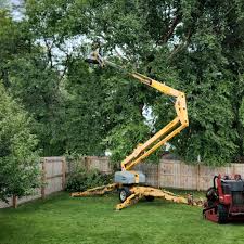 Best Leaf Removal  in Towson, MD